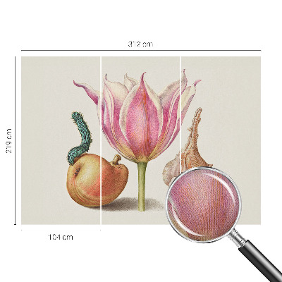 Fotomurale 3D simbiosi naturale