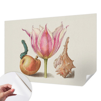 Fotomurale 3D simbiosi naturale