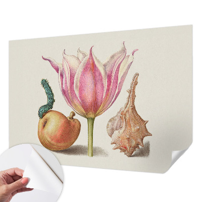 Fotomurale 3D simbiosi naturale