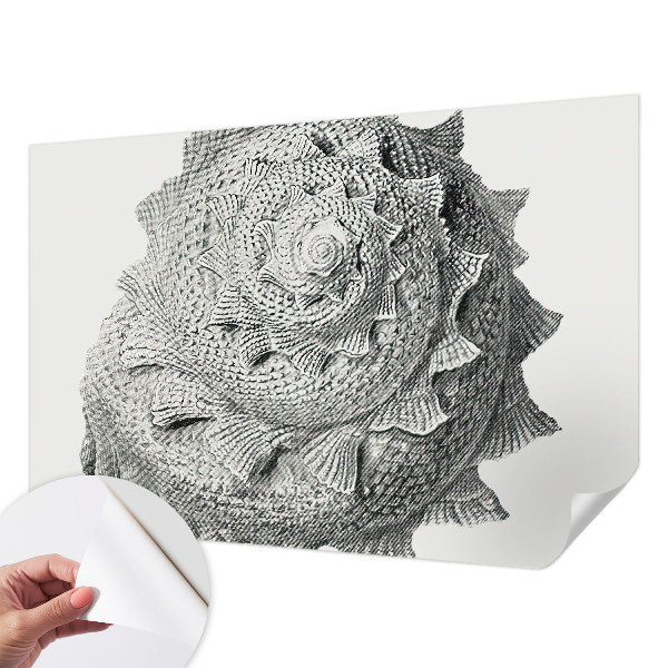 Fotomurale per bambini L'arte della natura