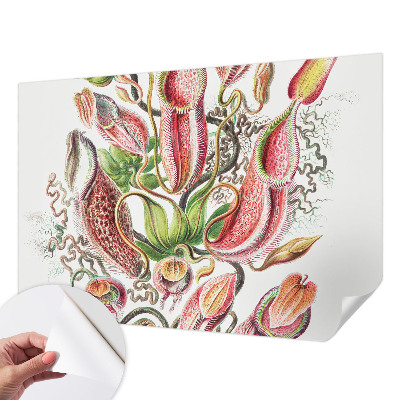 Carta da parati adesiva Dettagli dell'impianto