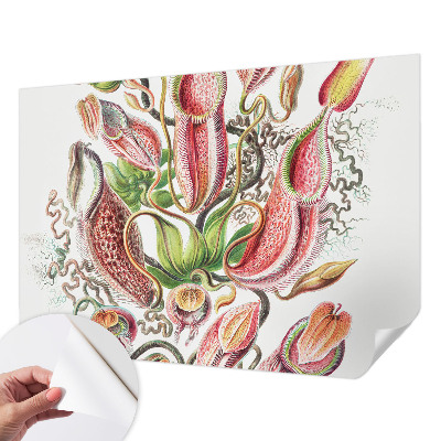 Carta da parati adesiva Dettagli dell'impianto