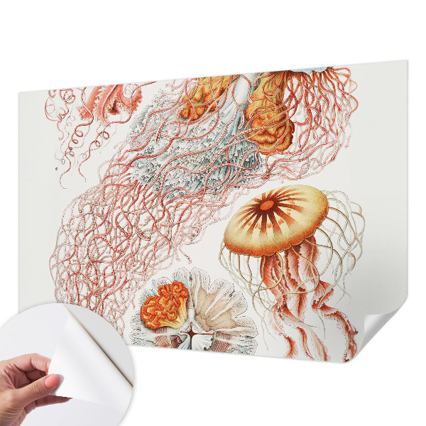 Carta da parati 3D Meduse fantasiose