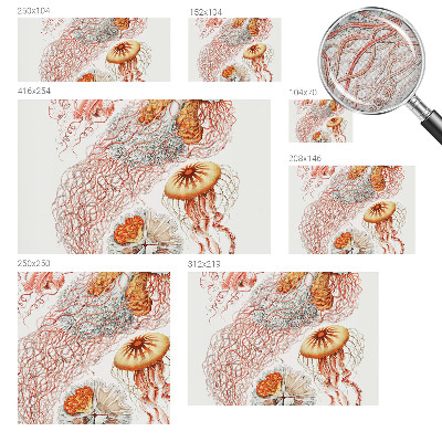 Carta da parati 3D Meduse fantasiose