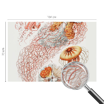 Carta da parati 3D Meduse fantasiose