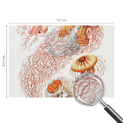Carta da parati 3D Meduse fantasiose