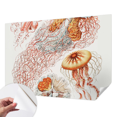 Carta da parati 3D Meduse fantasiose