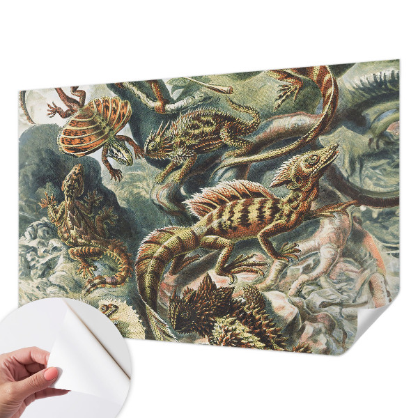 Fotomurale adesivo Rettili esotici