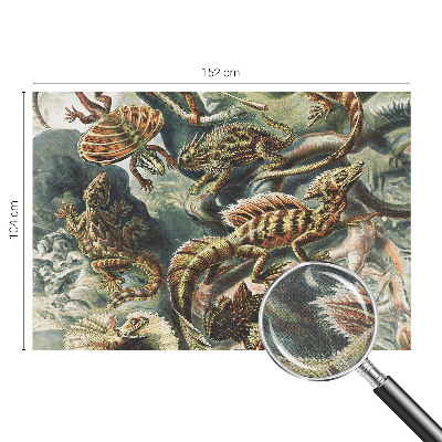 Fotomurale adesivo Rettili esotici