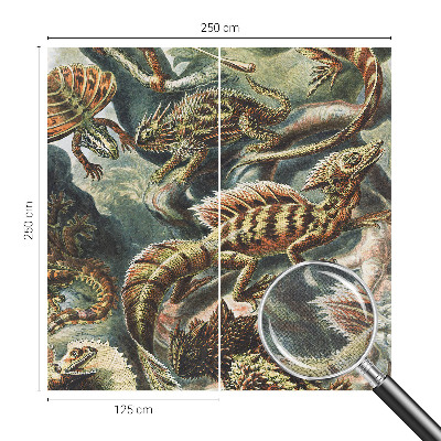 Fotomurale adesivo Rettili esotici