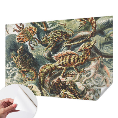 Fotomurale adesivo Rettili esotici