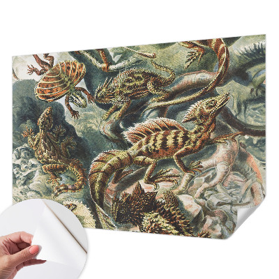 Fotomurale adesivo Rettili esotici