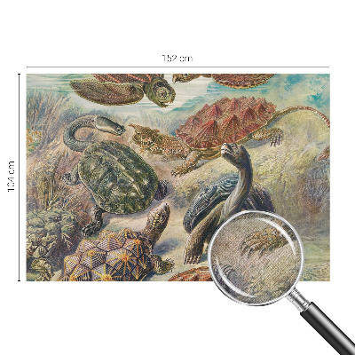 Fotomurale effetto 3D Fauna delle tartarughe