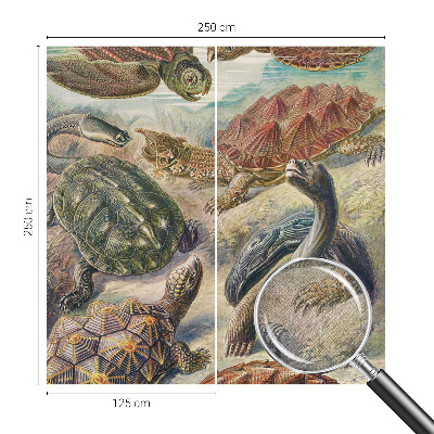 Fotomurale effetto 3D Fauna delle tartarughe