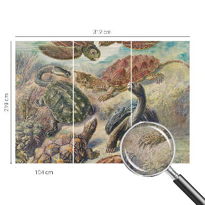 Fotomurale effetto 3D Fauna delle tartarughe