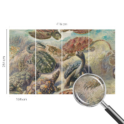 Fotomurale effetto 3D Fauna delle tartarughe
