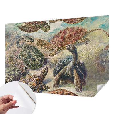 Fotomurale effetto 3D Fauna delle tartarughe