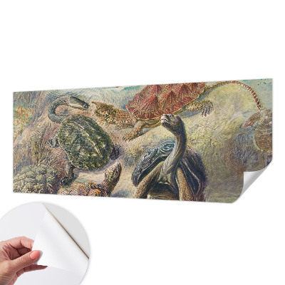 Fotomurale effetto 3D Fauna delle tartarughe