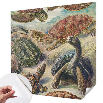 Fotomurale effetto 3D Fauna delle tartarughe