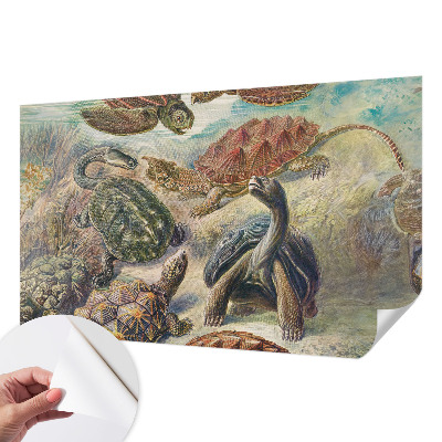 Fotomurale effetto 3D Fauna delle tartarughe
