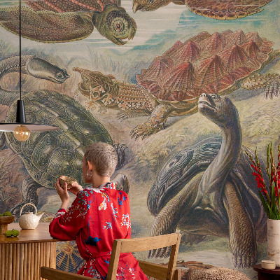 Fotomurale effetto 3D Fauna delle tartarughe