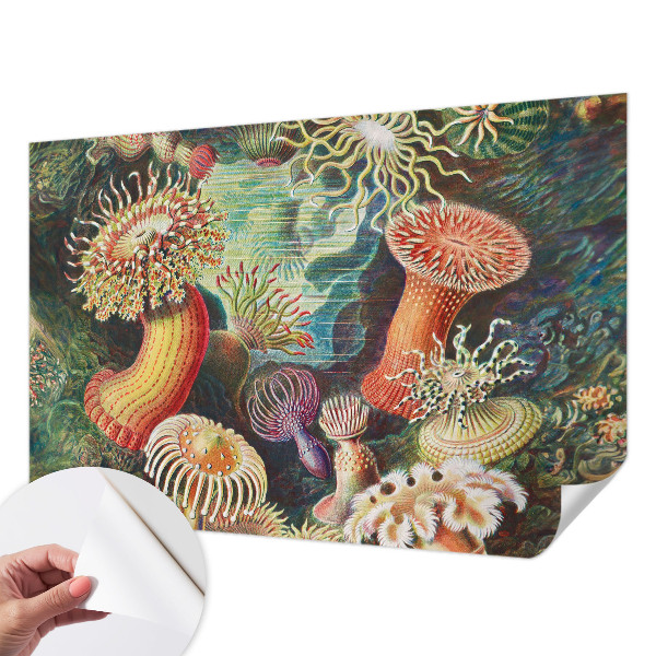 Carta da parati panoramica effetto 3D Anemoni di mare