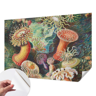 Carta da parati panoramica effetto 3D Anemoni di mare