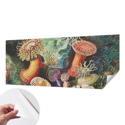 Carta da parati panoramica effetto 3D Anemoni di mare