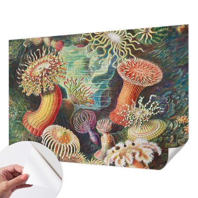 Carta da parati panoramica effetto 3D Anemoni di mare