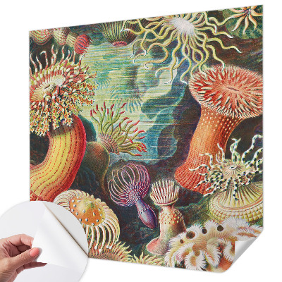 Carta da parati panoramica effetto 3D Anemoni di mare