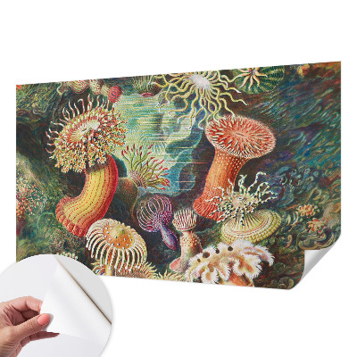 Carta da parati panoramica effetto 3D Anemoni di mare