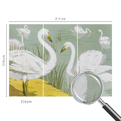 Carta da parati effetto profondità Il lago dei cigni