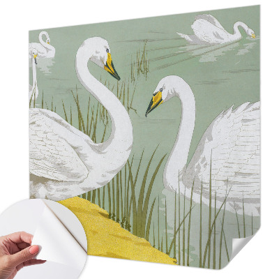 Carta da parati effetto profondità Il lago dei cigni