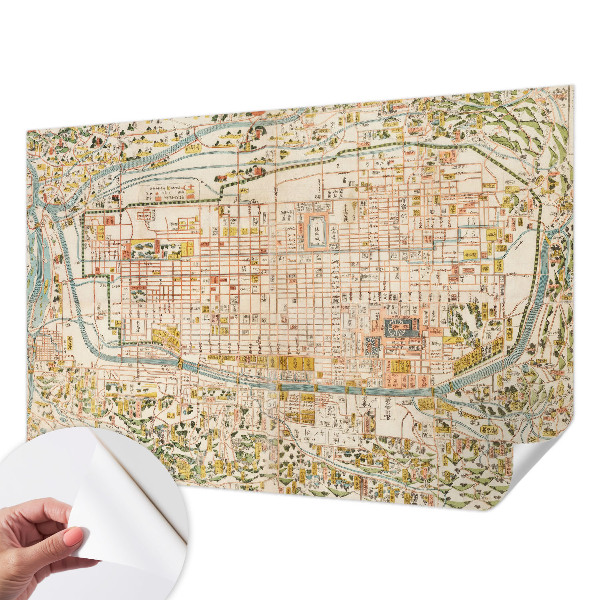 Fotomurale per cameretta mappa antica