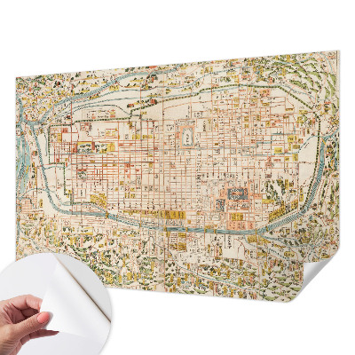 Fotomurale per cameretta mappa antica