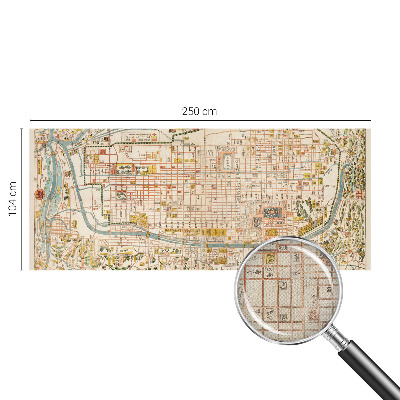 Fotomurale per cameretta mappa antica