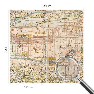 Fotomurale per cameretta mappa antica