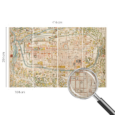 Fotomurale per cameretta mappa antica