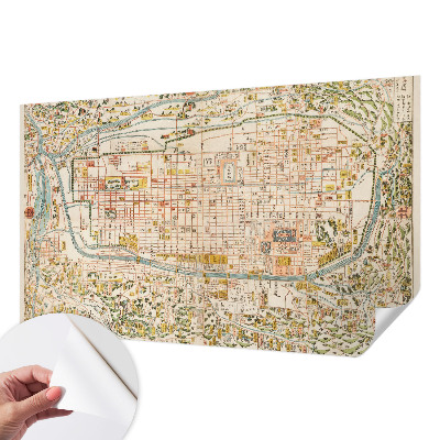 Fotomurale per cameretta mappa antica