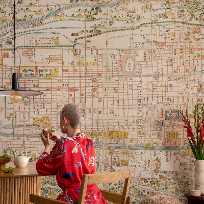 Fotomurale per cameretta mappa antica