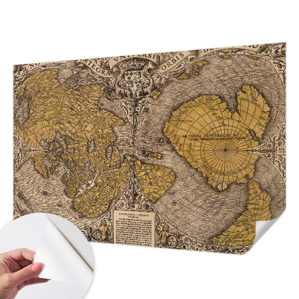 Fotomurale adesivo Cartografia storica