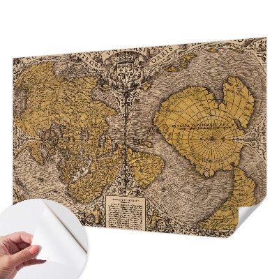 Fotomurale adesivo Cartografia storica