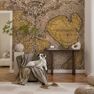 Fotomurale adesivo Cartografia storica