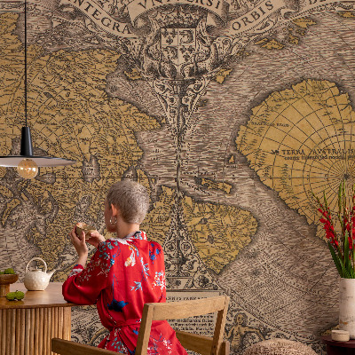 Fotomurale adesivo Cartografia storica