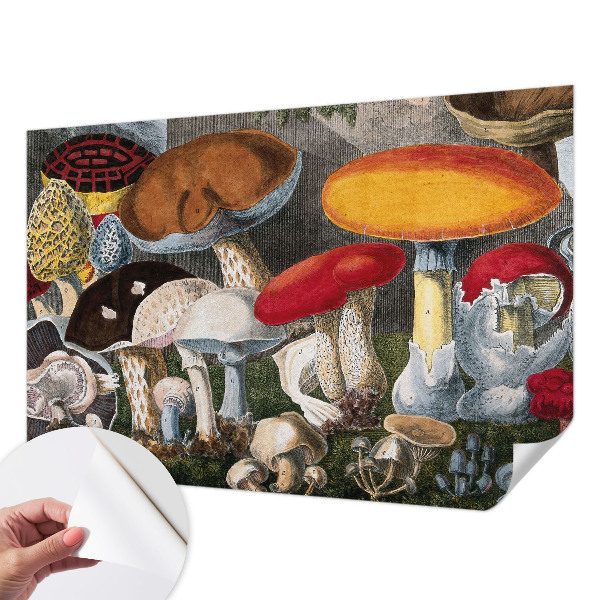 Fotomurale 3D Funghi botanici