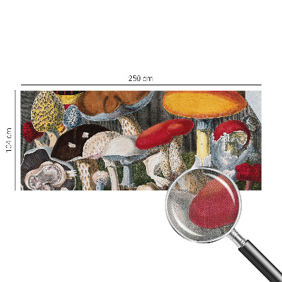 Fotomurale 3D Funghi botanici