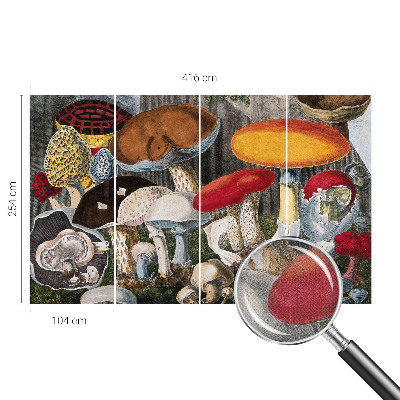 Fotomurale 3D Funghi botanici