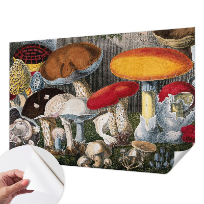 Fotomurale 3D Funghi botanici