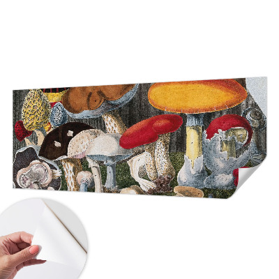 Fotomurale 3D Funghi botanici