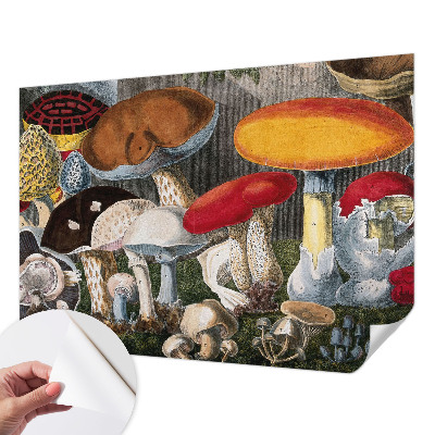 Fotomurale 3D Funghi botanici